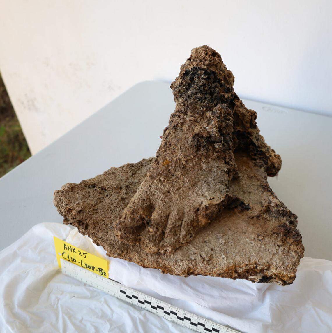 The statue foot recovered from the Antikythera shipwreck in 2025.