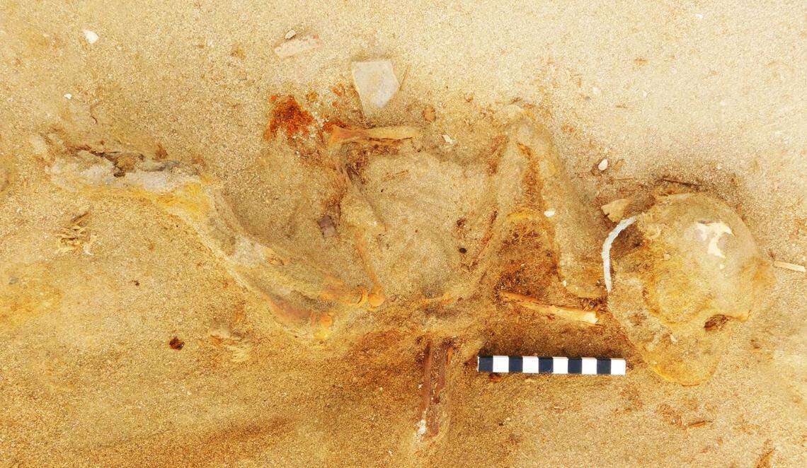 An animal burial, possibly of a monkey, found at the ancient Roman cemetery.