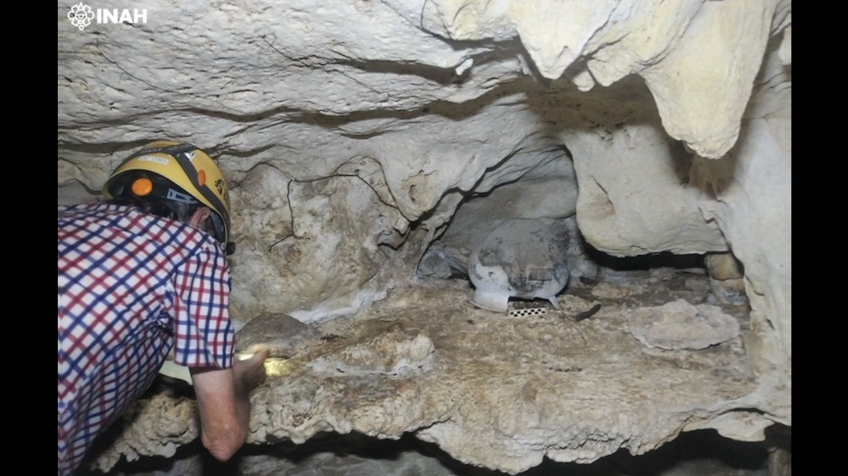 The ancient pot was discovered by members of the Urban Cenotes organization, which preserves caves around the Yucatán Peninsula.