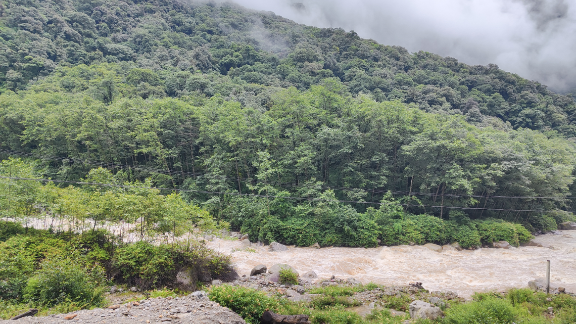 This was the first time a juvenile of the species was ever recorded, researchers said.