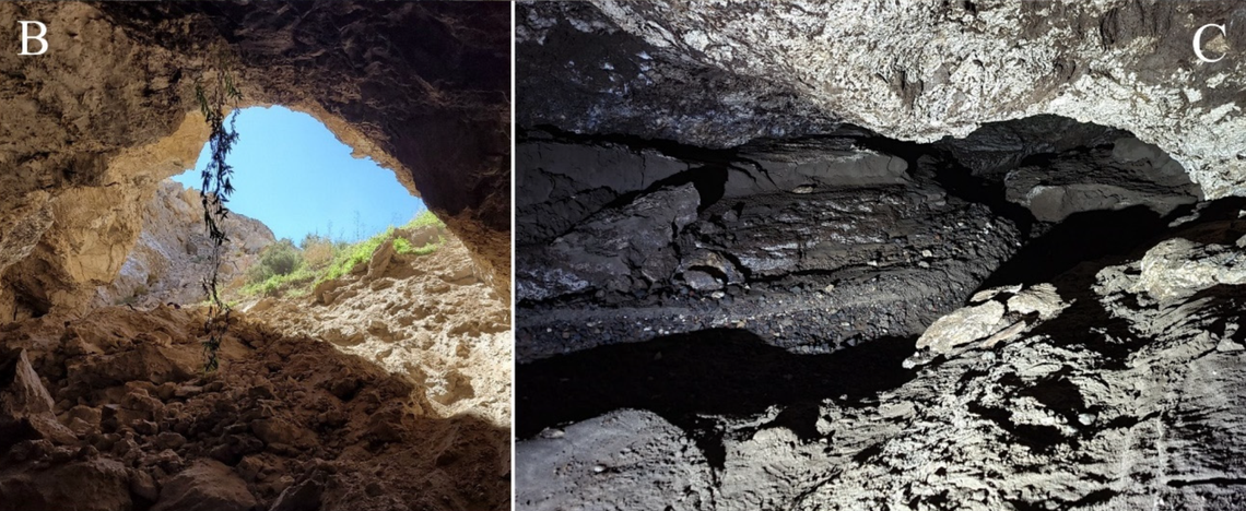 Two view of the cave where Pleonaraius spelaeus, or the Pleonaraius cave millipede, was discovered.