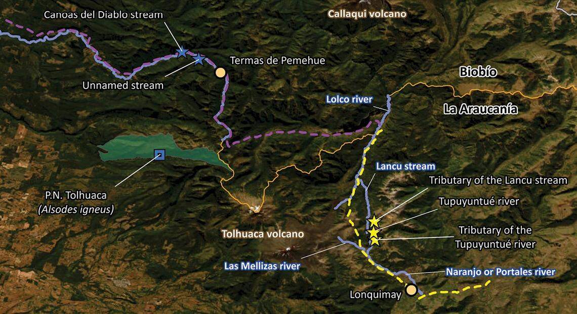 A dotted line shows a reconstruction of the route Philibert Germain took in 1893. The yellow stars mark the locations where Alsodes vittatus, or Malleco spiny-breasted frogs, were found.