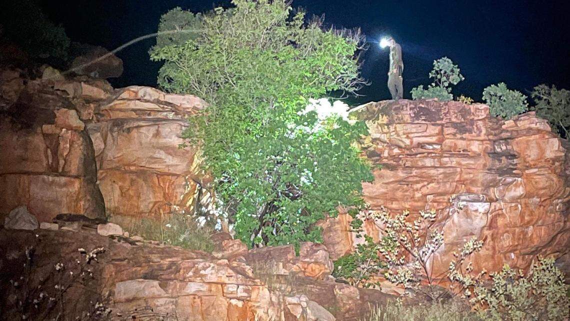 Scientists at a wildlife sanctuary in Australia found an odd-colored frog due to a rare mutation. A photo shows the “once-in-a-lifetime” sight.