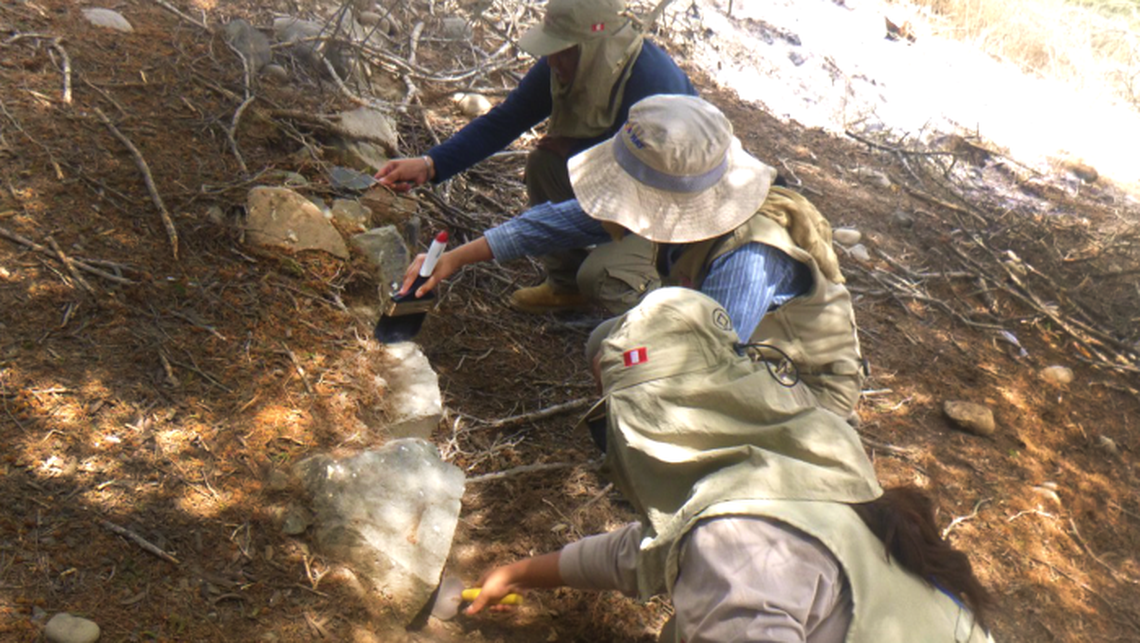Workers cleaning overgrown bushes and trees from Chupacigarro archaeological site found an ancient pyramid-like building, officials said.