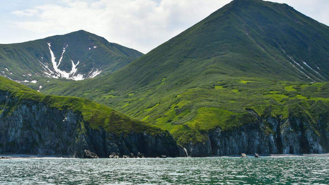 The species was found in a tide pool off the coast of Bering Island to the east of Kamchatka.