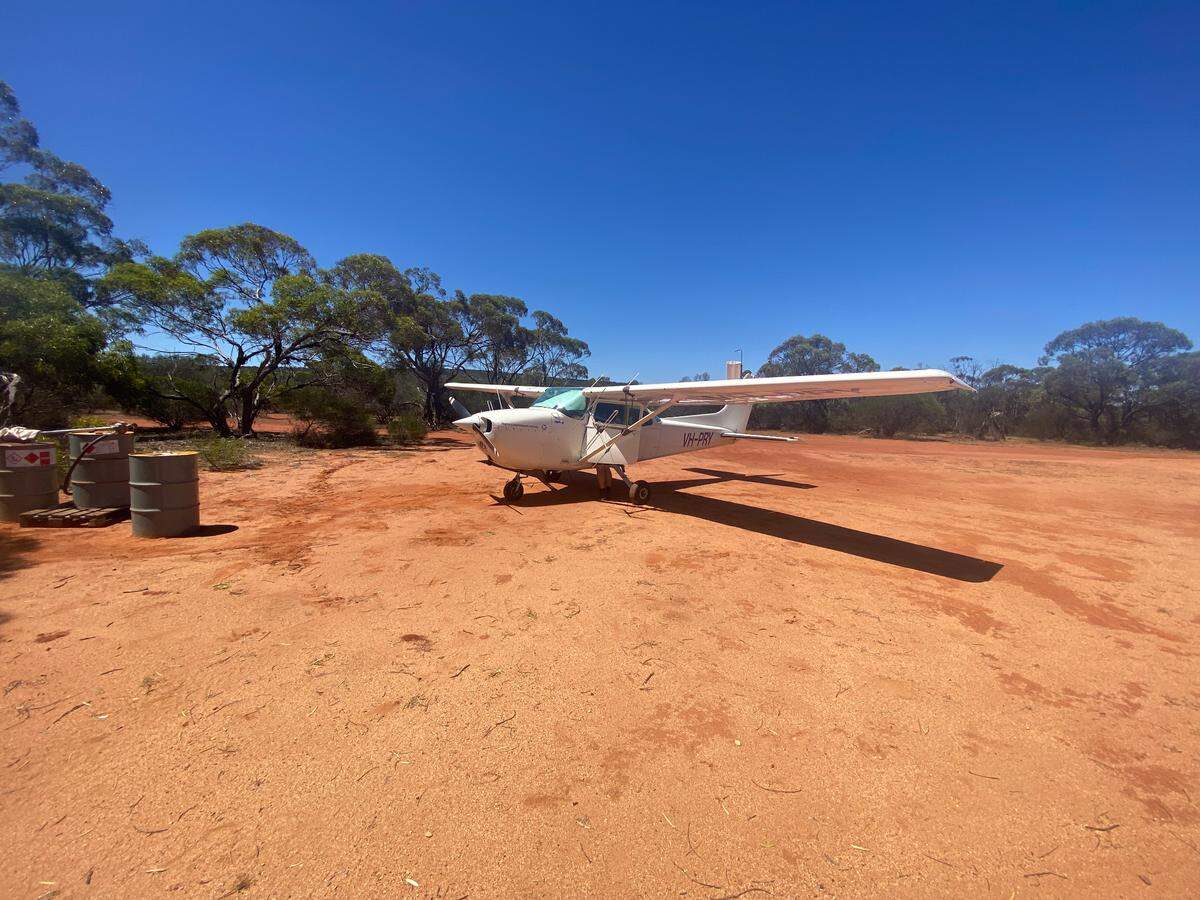 The small plane used to search for the missing quolls.
