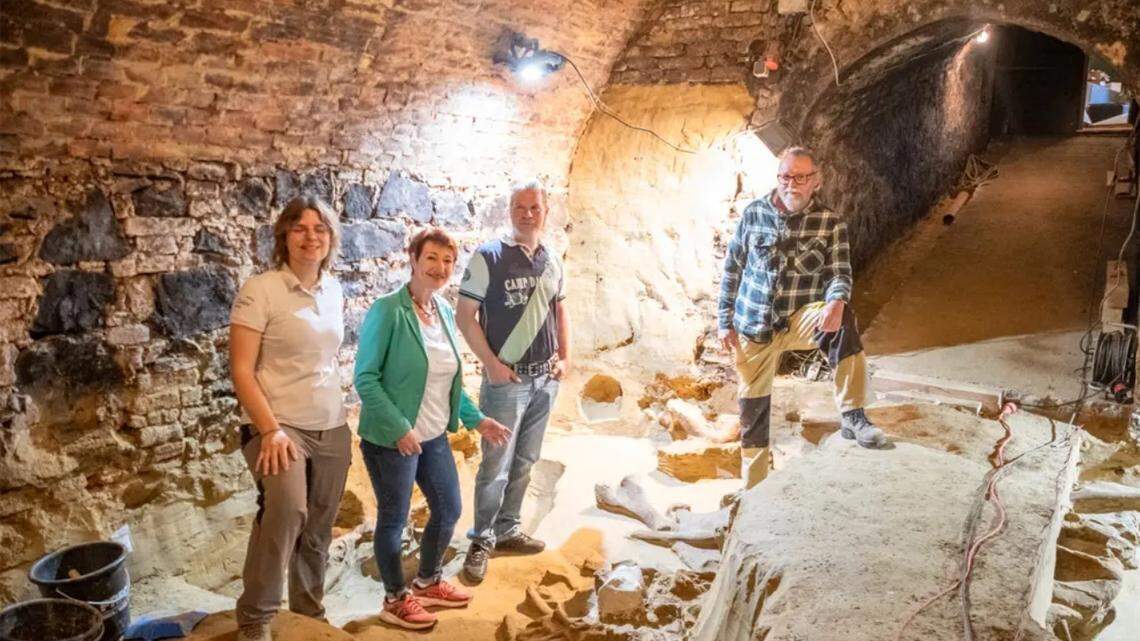 A homeowner in Austria unearthed a “huge layer of bones” belonging to three prehistoric animals during renovations, archaeologists said.