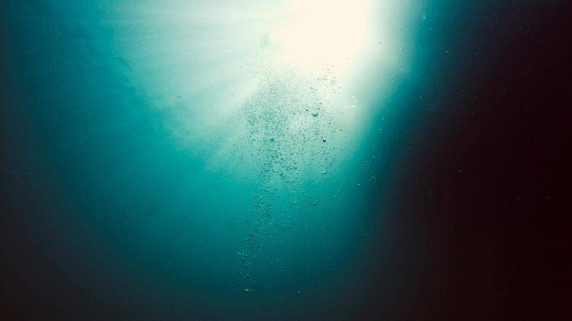 Scientists on a research vessel in the Atlantic Ocean found an orange sea creature with five arms and discovered a new species, a study said.