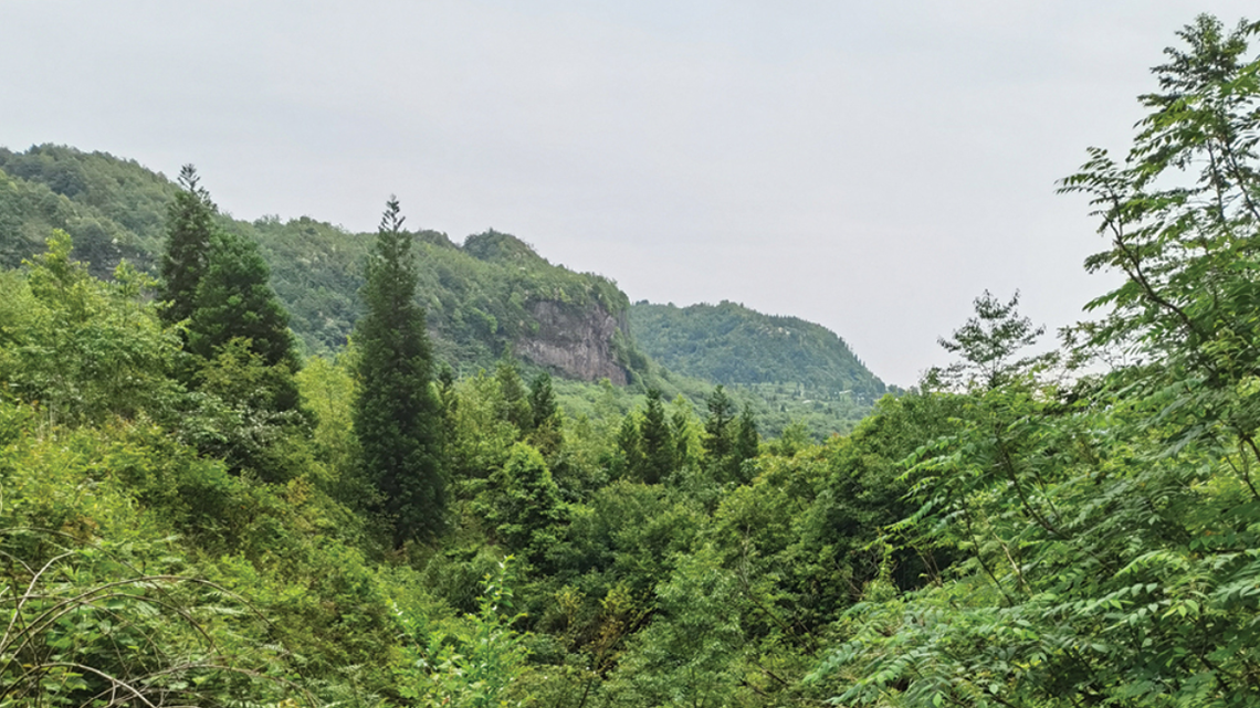 The Yezhong horned toad is only found on a single mountain peak in the Yezhong Nature Reserve, according to a study.