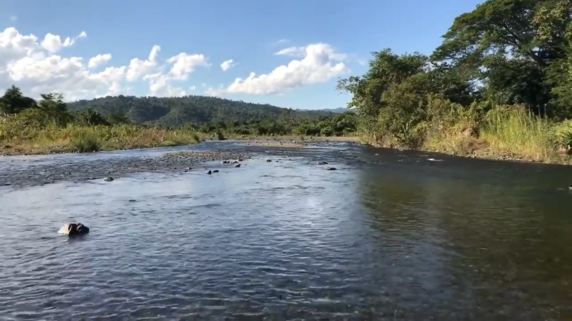 Scientists found a colorful animal with a “large” mouth in a river of Myanmar and discovered a new species, a study said. Photo shows a representative area of Mogaung.