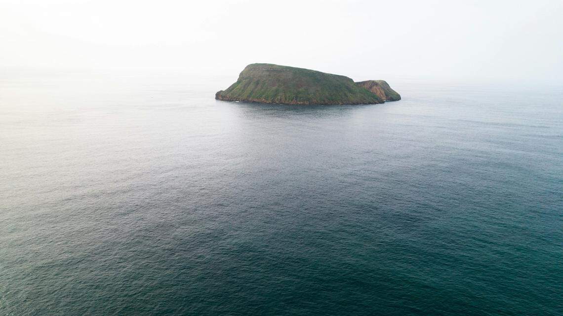 A freediving fisherman caught a great barracuda in the Portuguese Azores islands, the area’s first record of the fish, a study said. Photo shows a representatve island in the Azores.