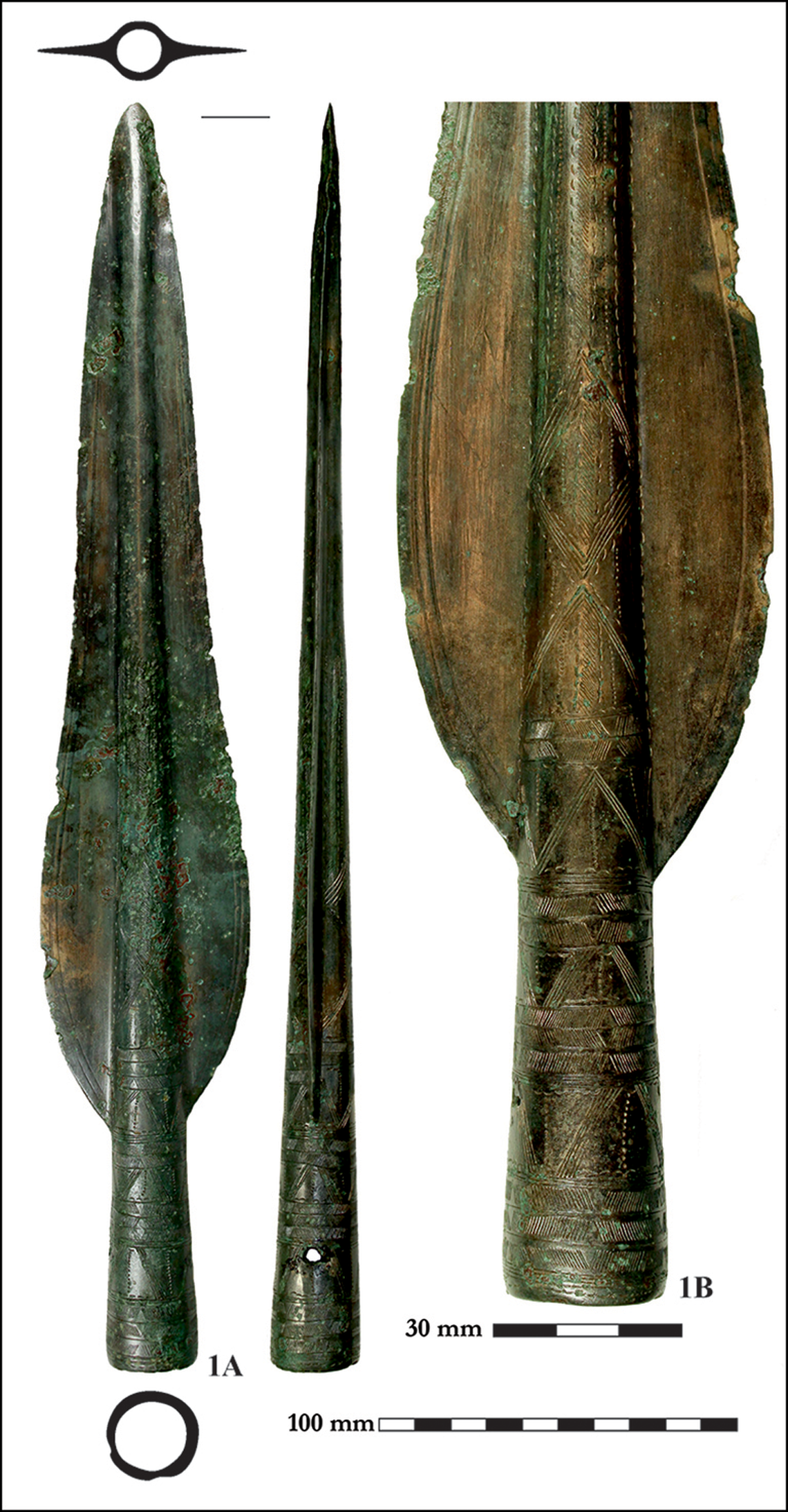 Researchers found a spearhead buried in the first hoard they uncovered on Somló Hill.