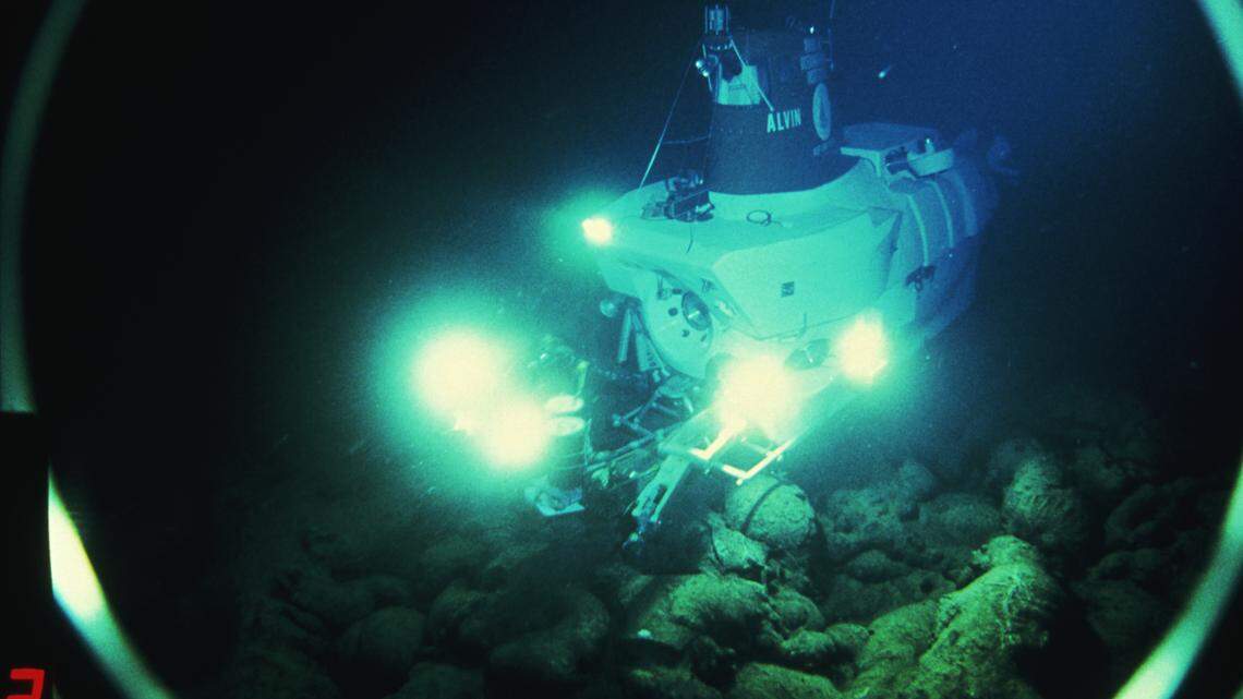 The three new species were found in Monterey Bay at depths ranging from 2 to 2.5 miles below the surface, researchers said.