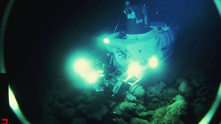 Deep-sea creature with ‘strikingly’ prickly head is a new species off California