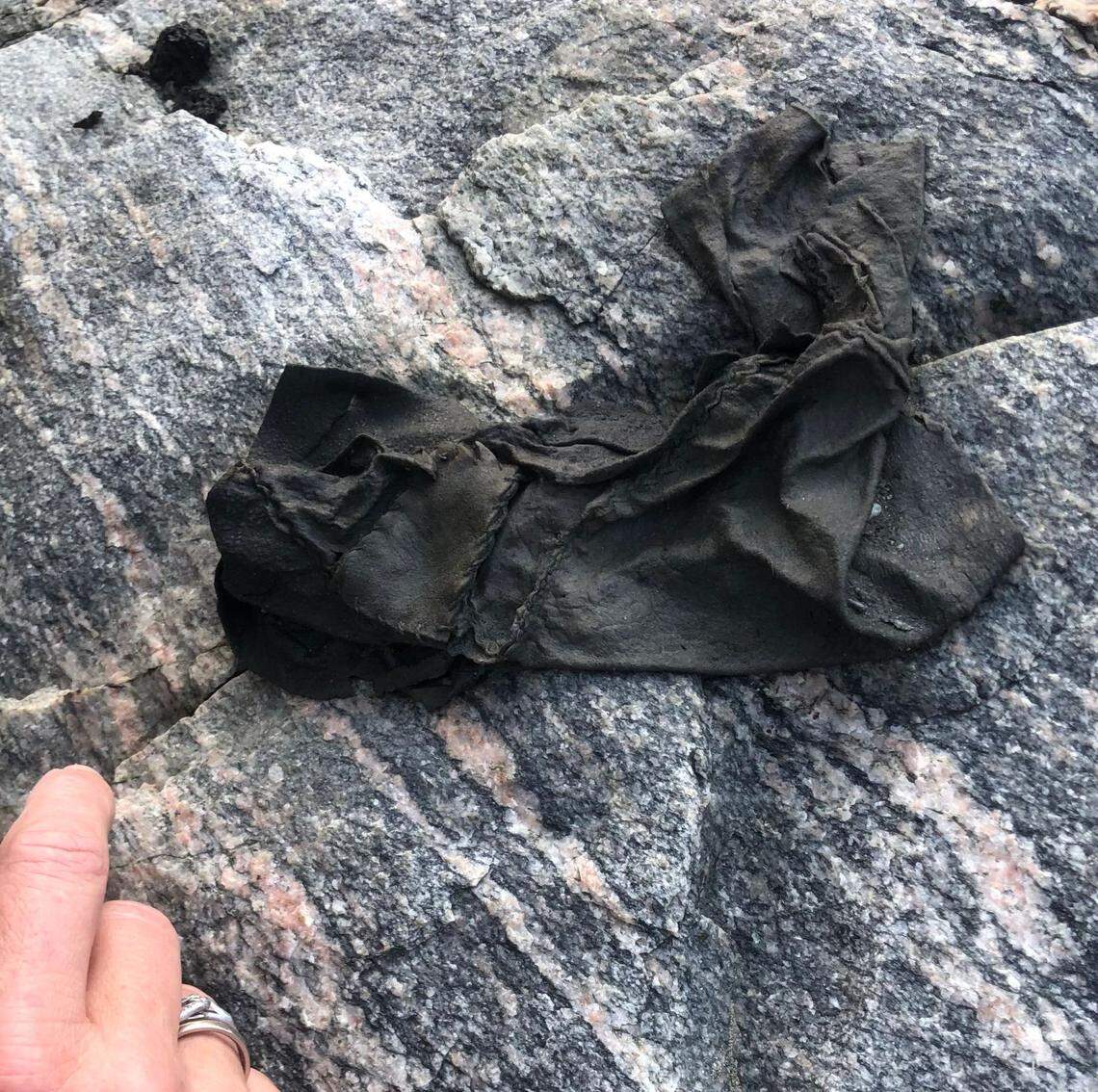 A centuries-old leather or hide artifact found at Lendbreen.