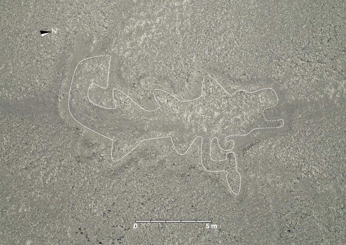 A 2,000-year-old Nazca geoglyph showing an orca with a knife. The figure was outlined in white by researchers.