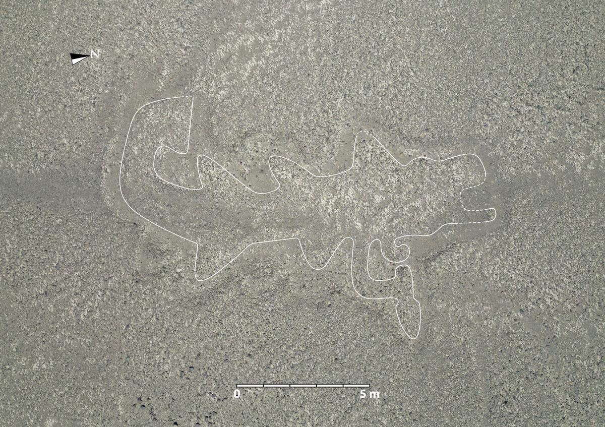 A 2,000-year-old Nazca geoglyph showing an orca with a knife. The figure was outlined in white by researchers.