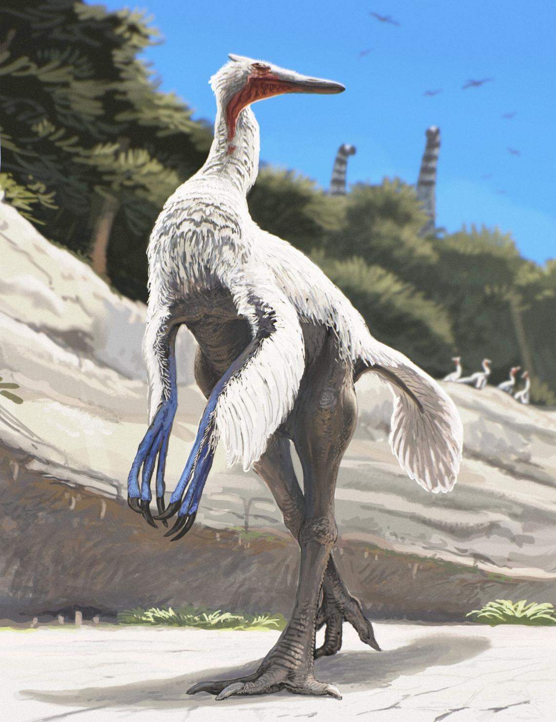 Ornithomimosaurs were among the fastest runners in the dinosaur world, according to experts.