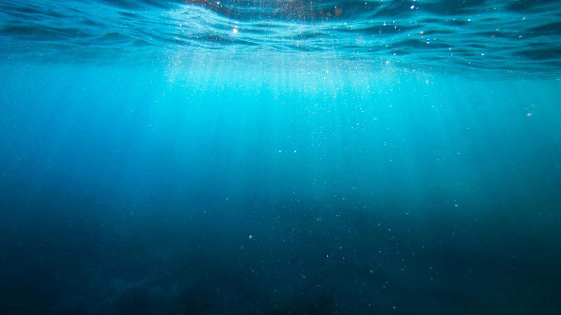 Trawlers in the South China Sea caught a toothy animal, able to glow in the dark, and discovered a new species, scientists said in a study. Photo shows a representative ocean.