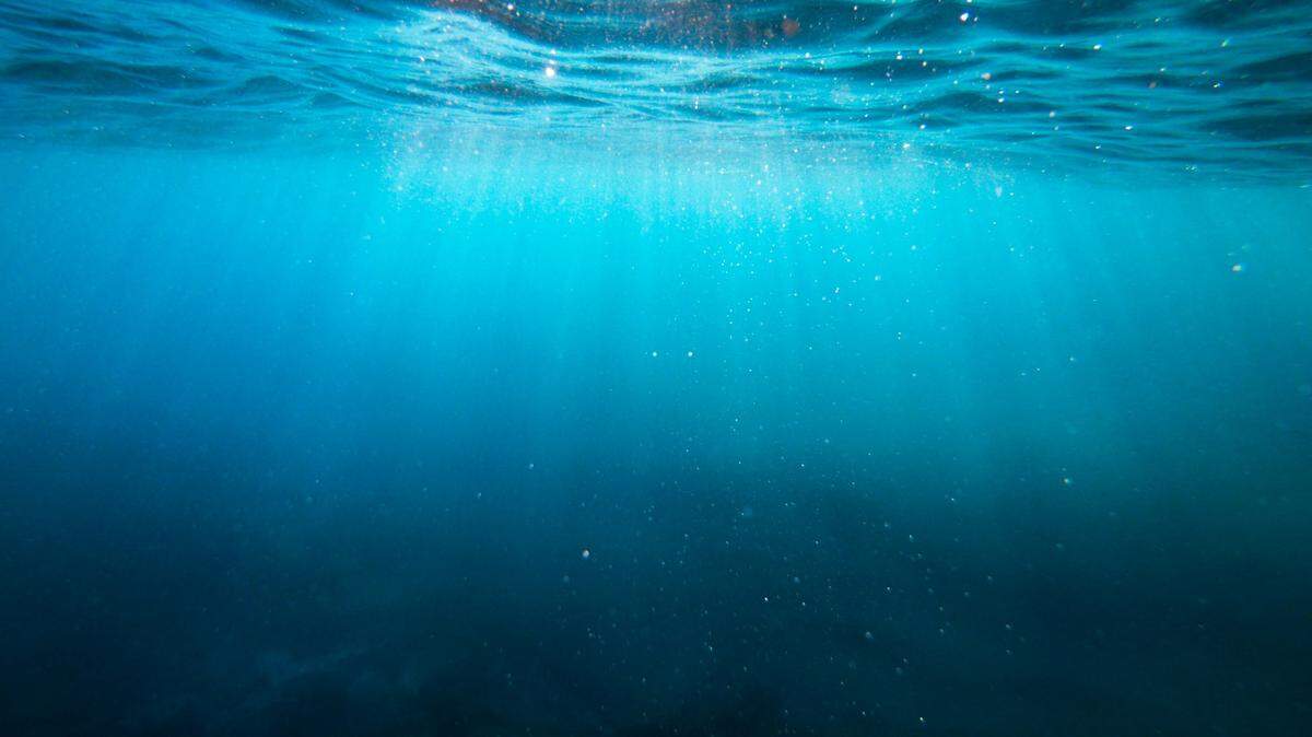 Trawlers in the South China Sea caught a toothy animal, able to glow in the dark, and discovered a new species, scientists said in a study. Photo shows a representative ocean.