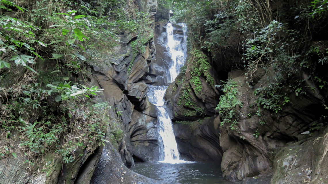 Scientists found a pregnant animal with “visible” eggs near a waterfall in Kanchanadit District and discovered a new species, a study said.