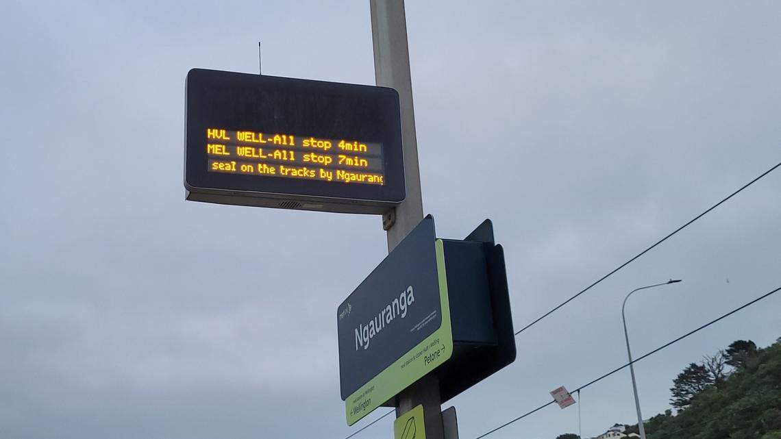 A fur seal on a railway track near Wellington disrupted traffic until wildlife officials moved the “rogue” animal to a beach.