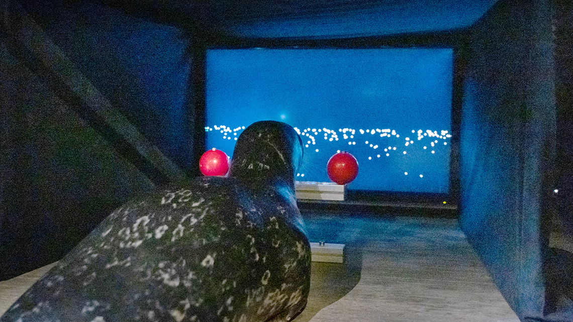 The seals learned to touch a target on the left or right based on which direction they thought they were moving, researchers said.