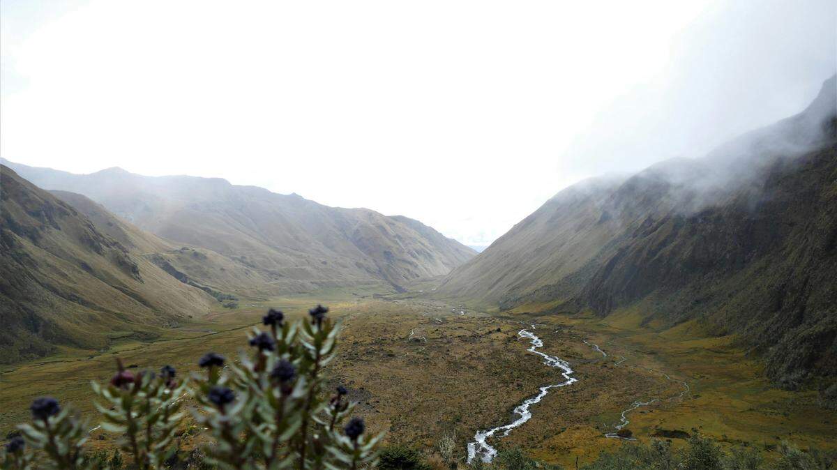 Scientists found several “armored” animals in rivers of Ecuador and discovered two new species, a study said. Photo shows a representative area.