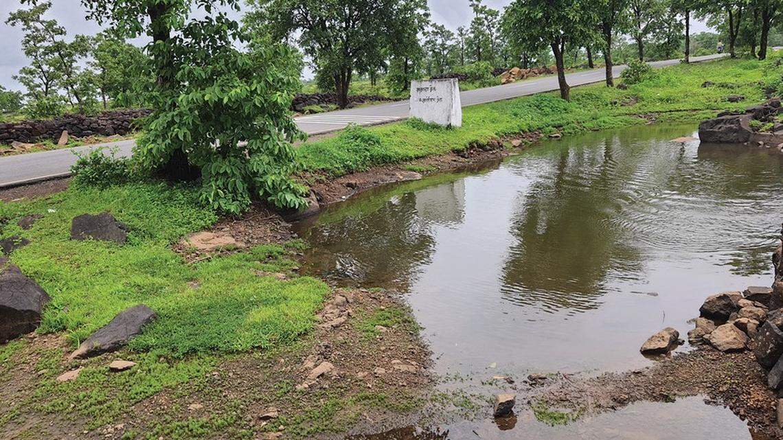 The pond, just over 3 feet deep, is frequently used as a bathing and drinking hole for cattle, the study said.