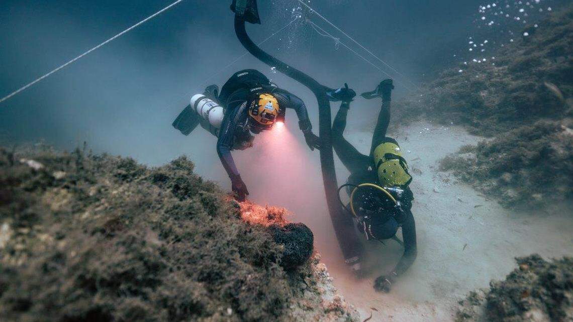 A team of 30 did 170 dives in two weeks excavating and exploring the shipwreck.