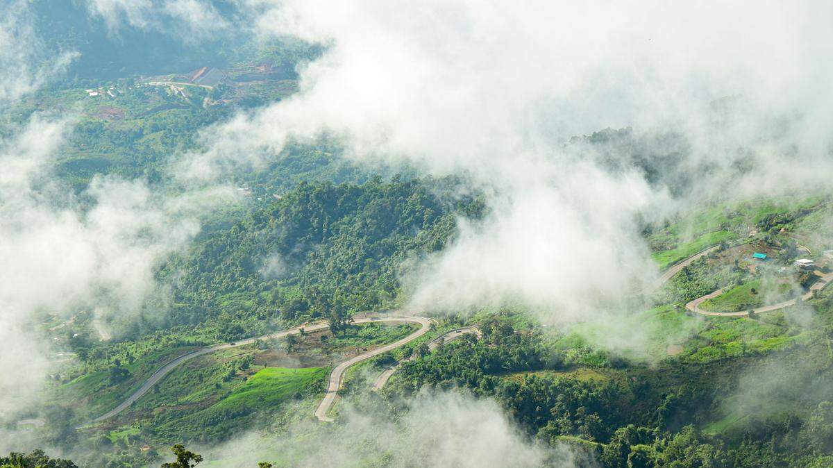 In Thailand, remote areas harbor small species that have never been identified.