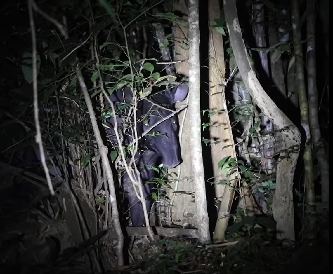 The Malayan tapir seen at Si Phang Nga National Park.