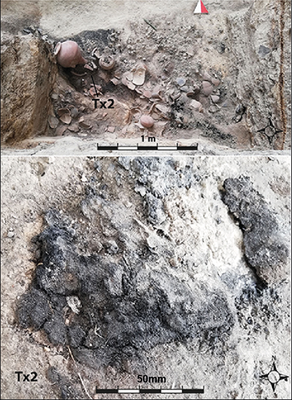 The fabric fragment Tx2 as seen during excavations.
