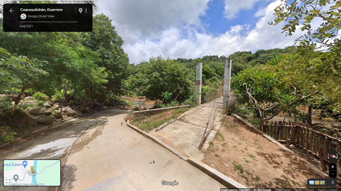 Scientists found a pregnant animal flying through a forest in Mexico and discovered a new species, a study said. The photo shows a representative area.