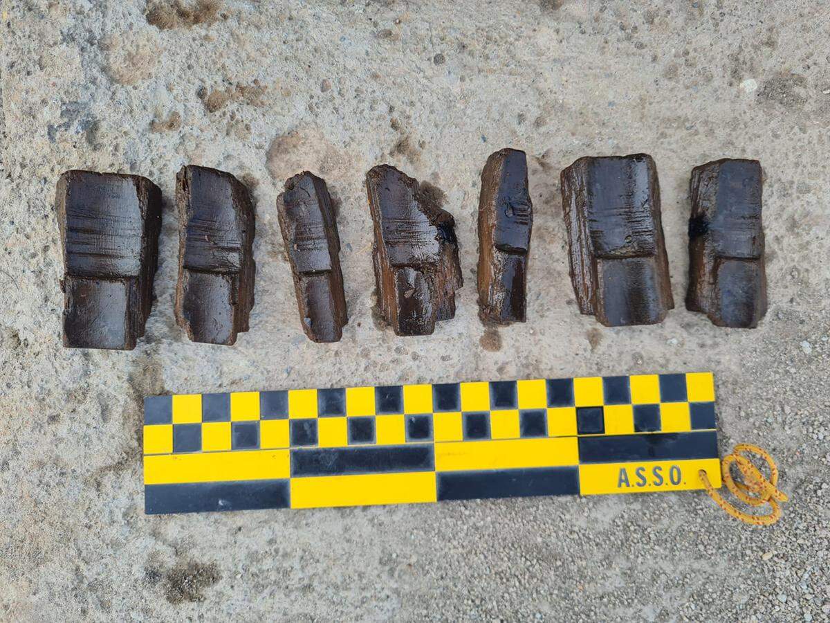 Some of the ancient wooden artifacts that might have formed a tube.