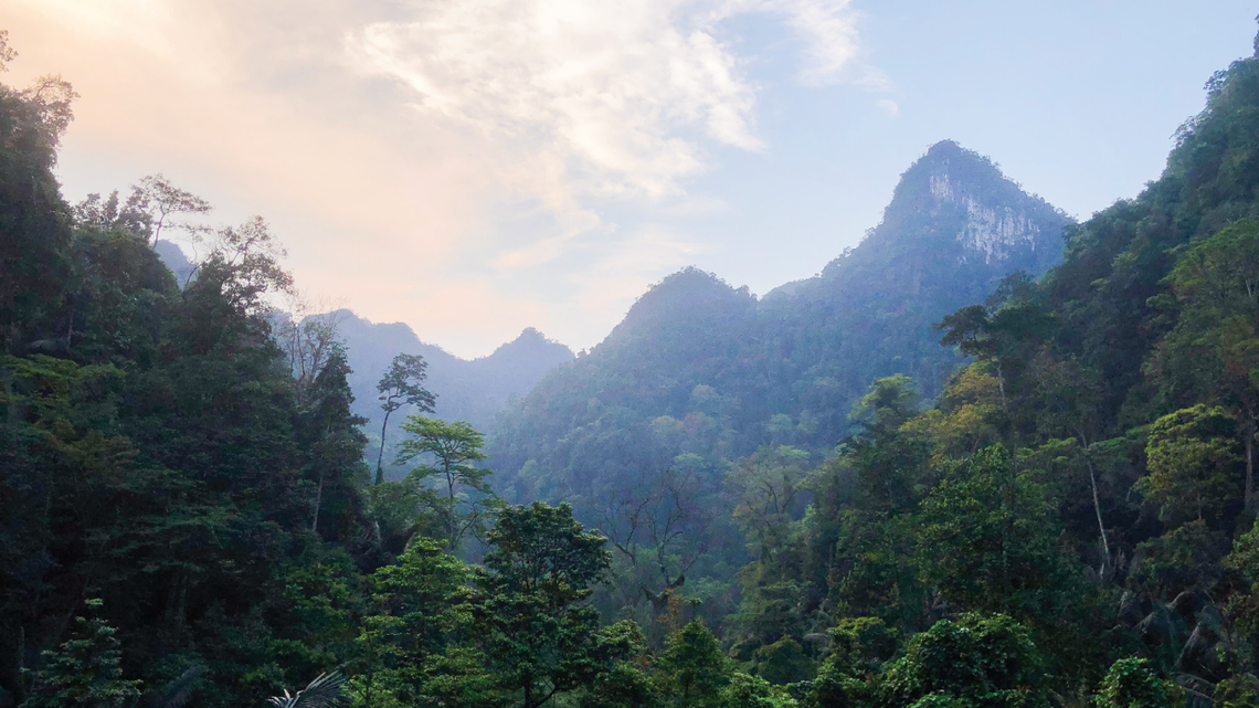 The new species has pinkish-cream bands across its brownish-black body, researchers said.