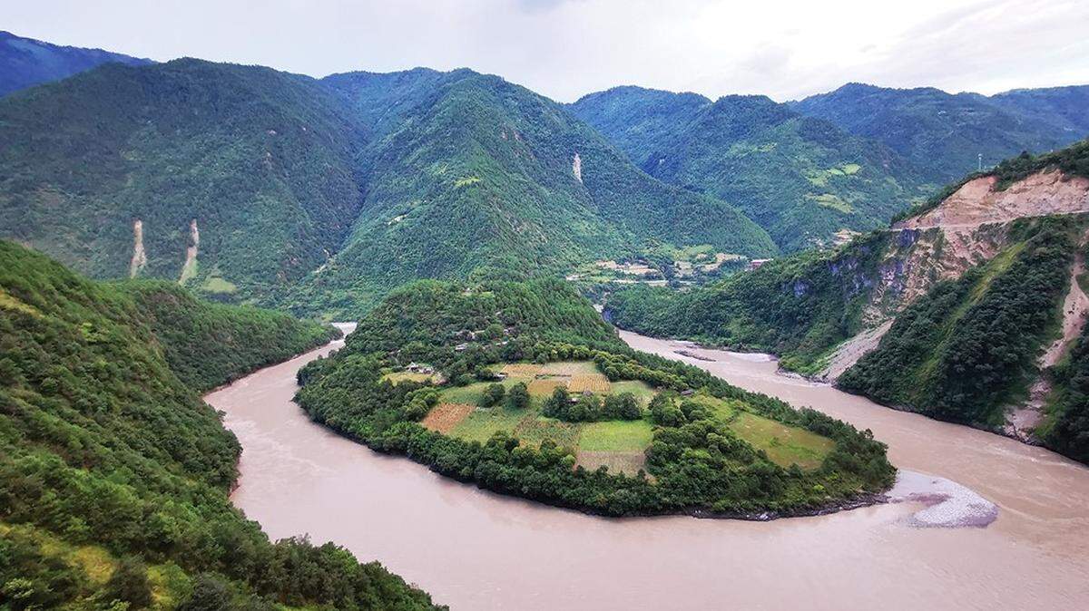 A new “cryptic” green pit viper species was discovered in the forests at the end of China’s Nujiang Grand Canyon, according to a study.