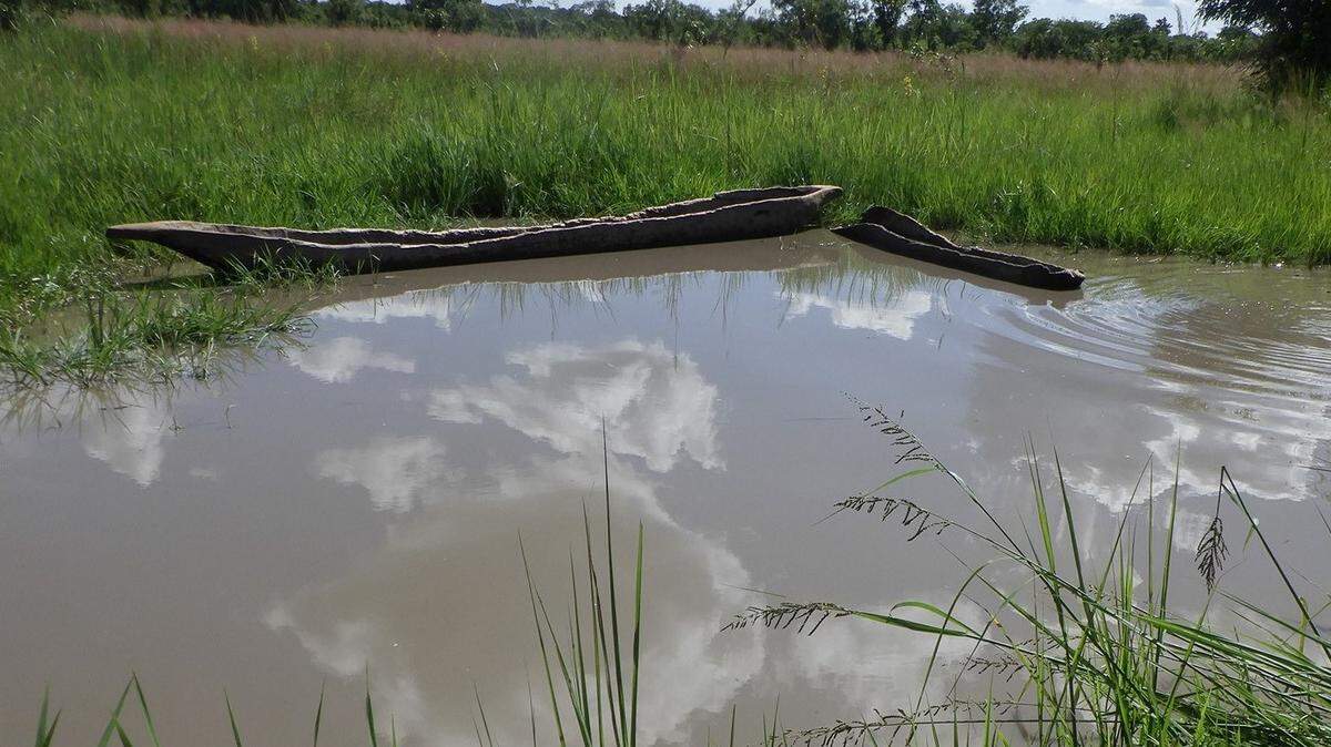 Scientists found a “large”-eyed creature in a shrinking pond of the Democratic Republic of the Congo and discovered a new species, study said.
