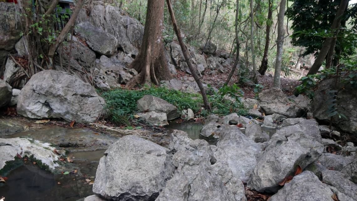 Scientists found an “unusual” creature with “reddish” eyes in a cave of Sa Kaeo Province and discovered a new species, a study said.
