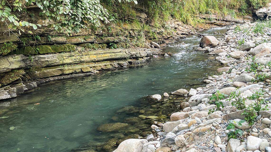 Scientists found a “territorial” creature headbutting rivals in a rocky stream of southern China and discovered a new species, a study said.