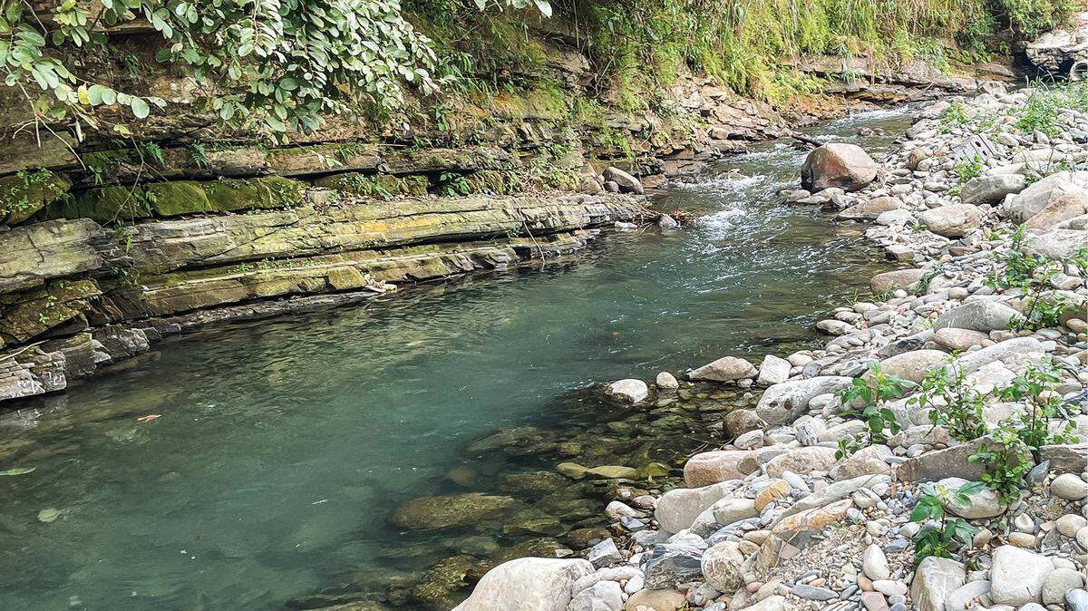 Scientists found a “territorial” creature headbutting rivals in a rocky stream of southern China and discovered a new species, a study said.