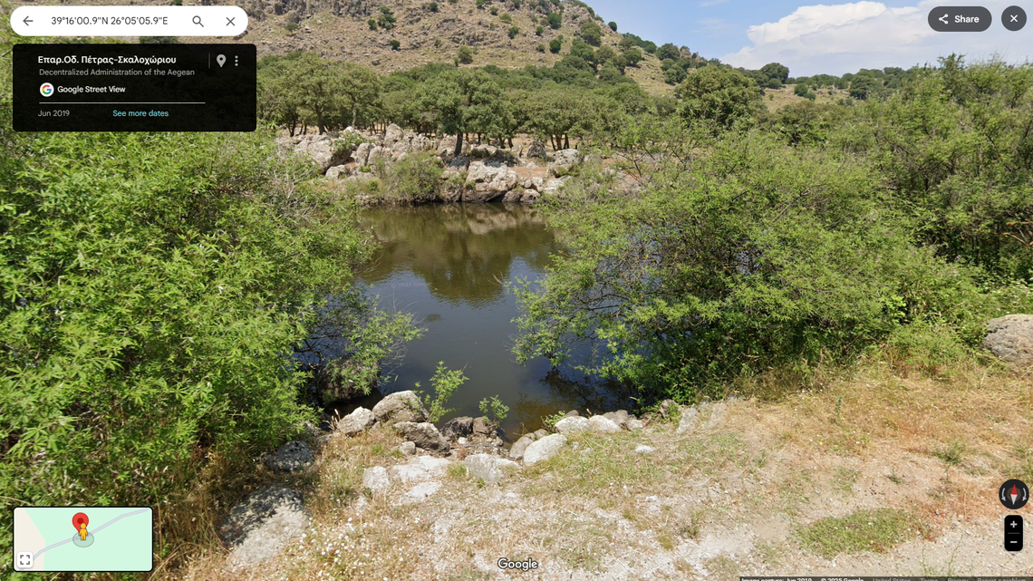 Scientists found an invasive “stripe-necked” species in a pond on an island of Greece for the first time, a “worrisome” find, a new report said.