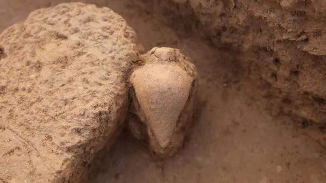 Archaeologists in Henan excavated an ancient tomb and found a “rare” 7,000-year-old bottle with a mysterious purpose, a photo shows.
