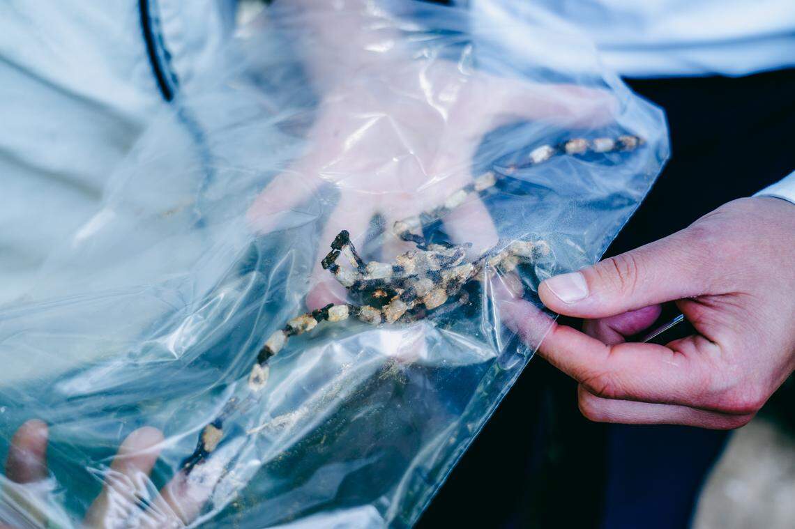 Other artifacts found at the bunker.