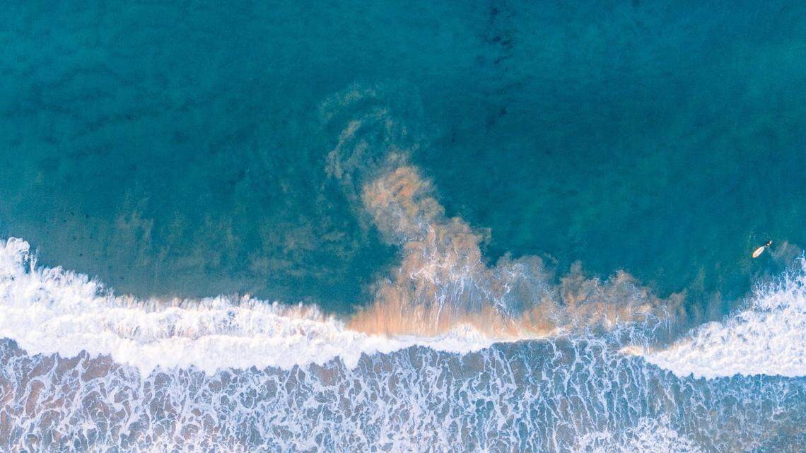 Southern right whales often rest in Jervis Bay while migrating south, Australian experts said.