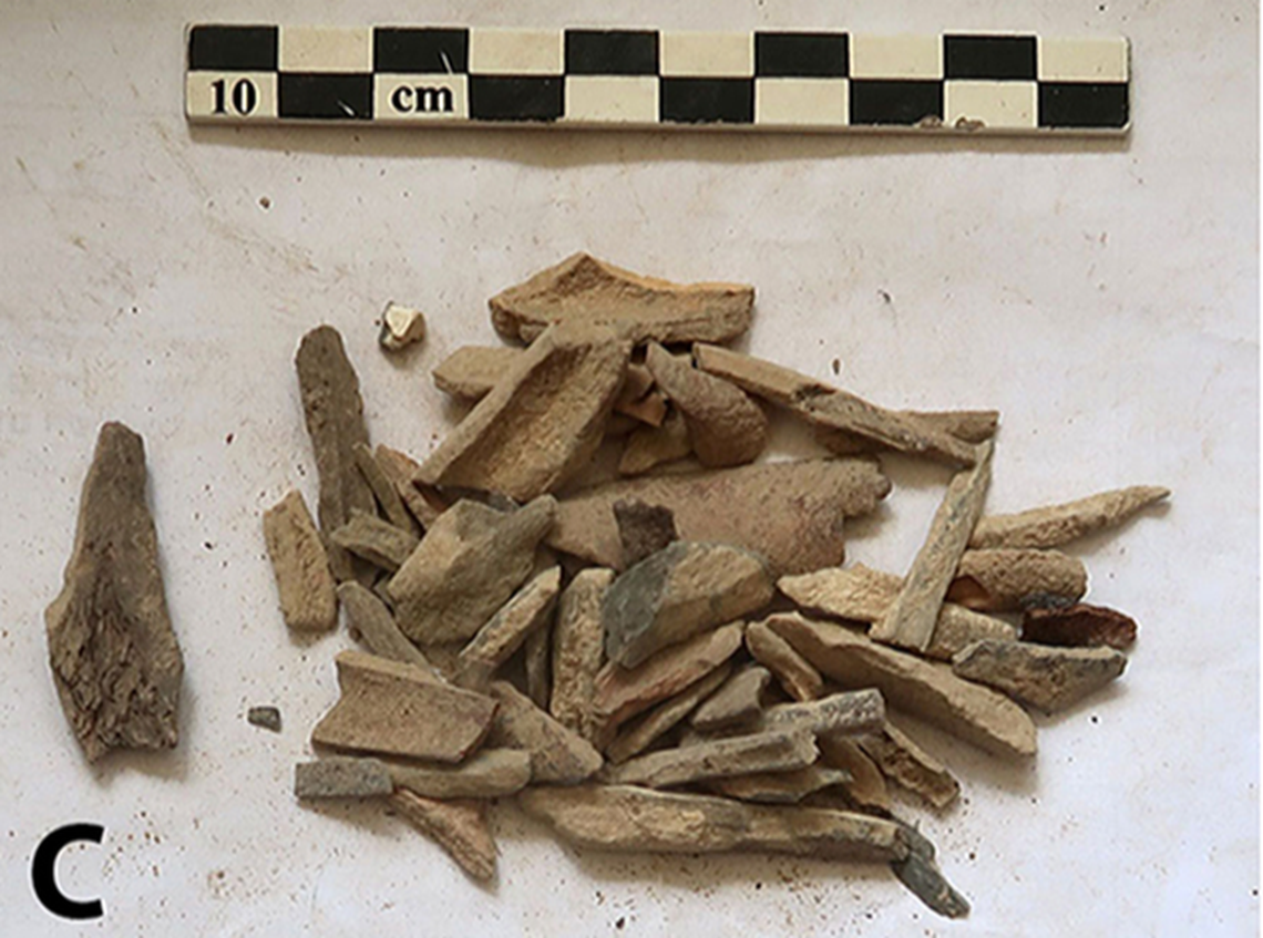 Some bones found at Soii Havzak.