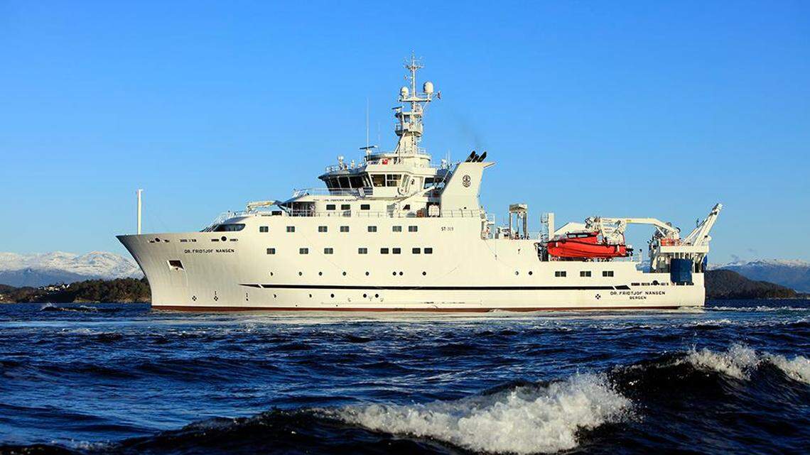 Scientists found a 2-foot-long sea creature with “fang-like” teeth while trawling off Cabo Verde and discovered a new species, a study said.