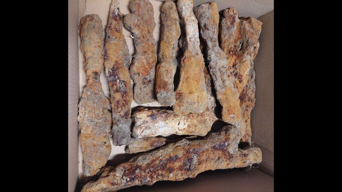 A man noticed some rusty items in a forest of Hrubieszów and found a set of 15 weapons from 1,500 years ago, photos show and archaeologists said.