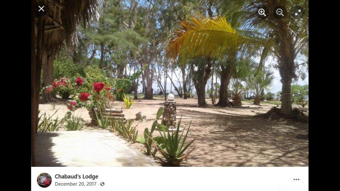 Scientists found a “large” color-changing creature in the garden of a hotel in Madagascar and discovered a new species, a study said.