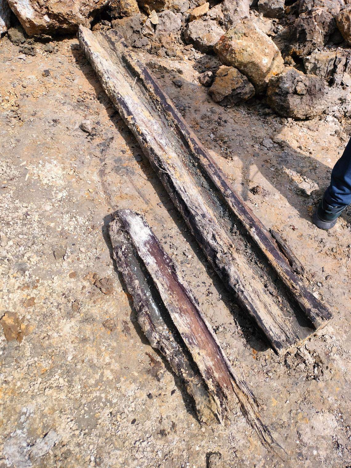A section of the 1,700-year-old wooden water pipe found in Leuven.